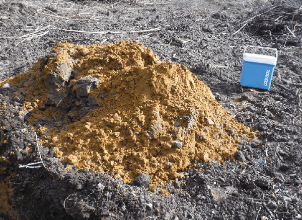 Soil sample from contaminated land