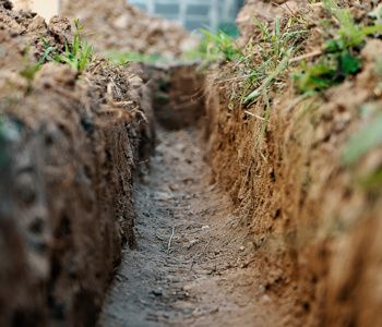 Soil Testing