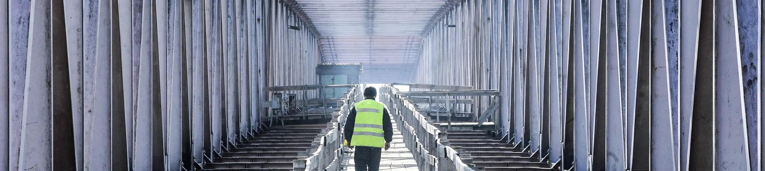 Bridge Inspection Bridge Inspection