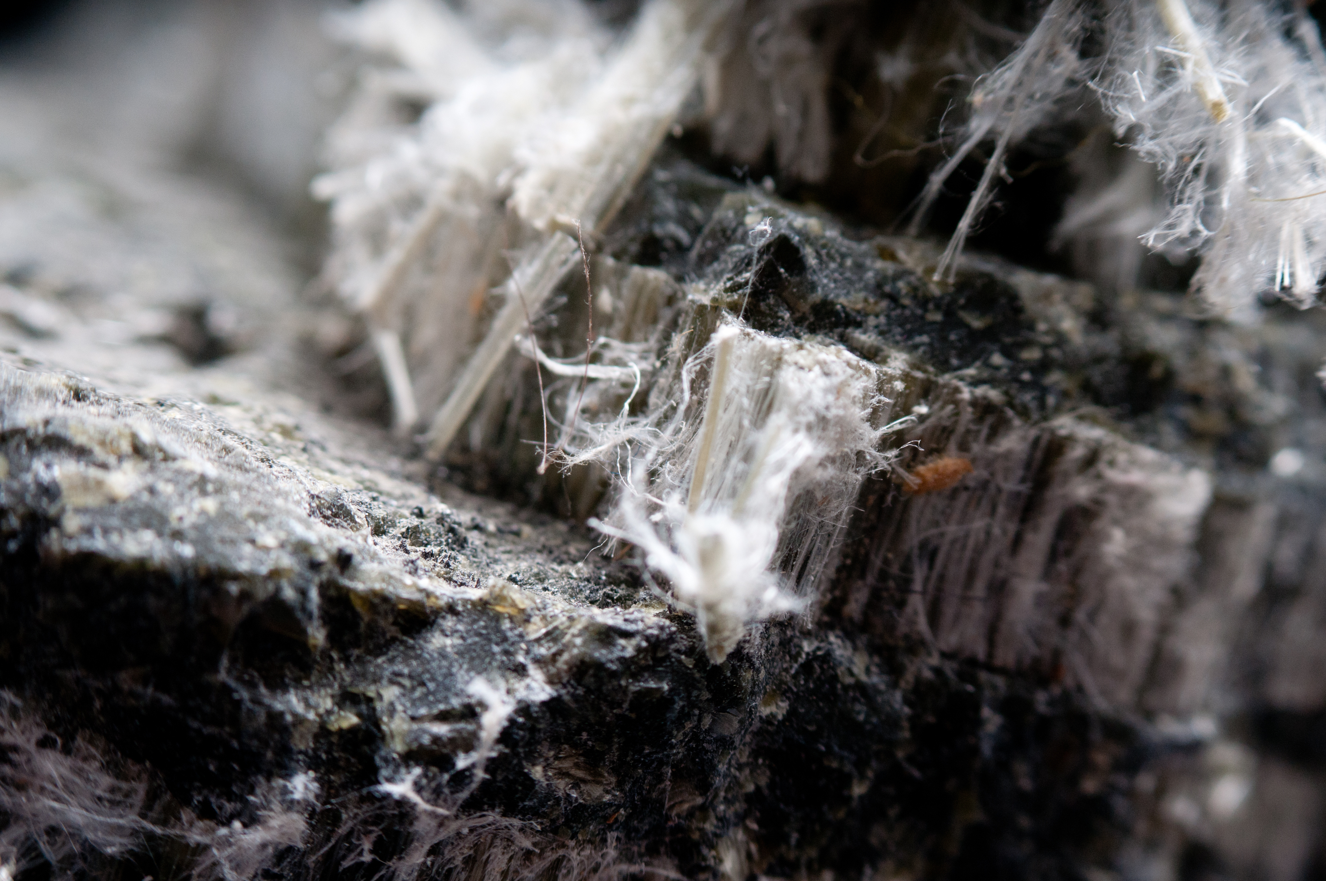 Asbestos Fibres
