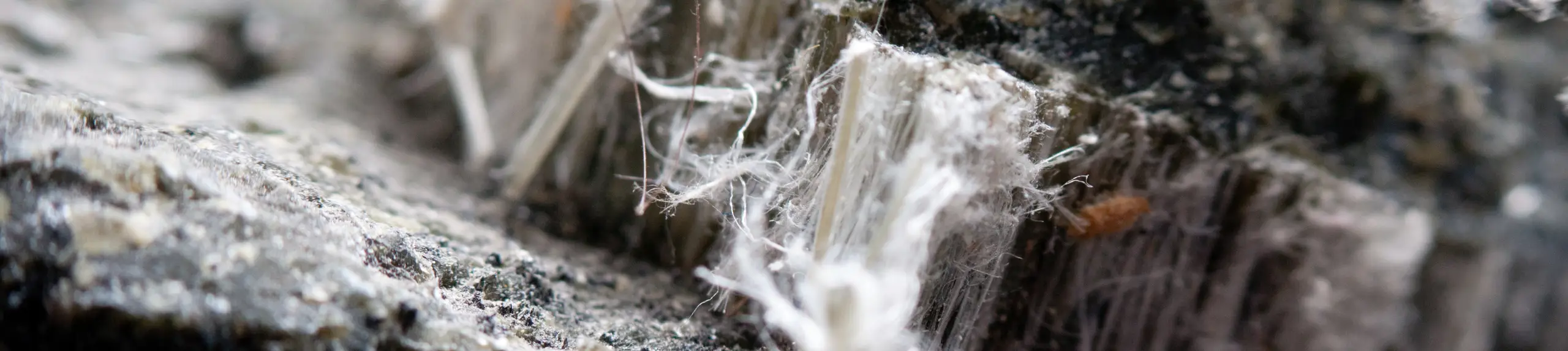 Asbestos Fibres Asbestos Fibres
