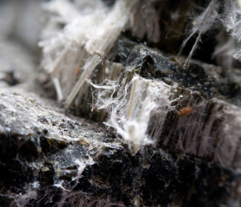 Asbestos Fibres Asbestos Fibres