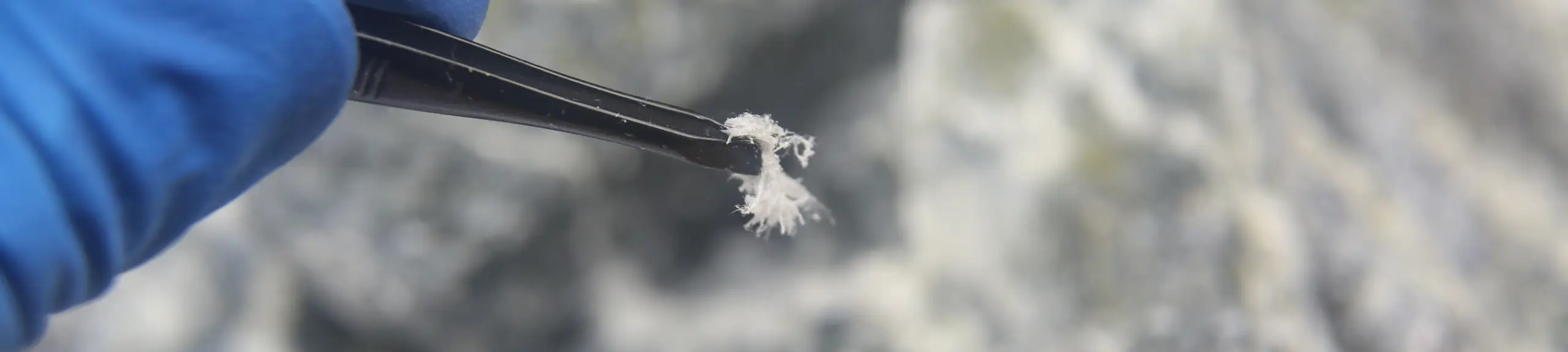 Asbestos Fibres Asbestos Fibres