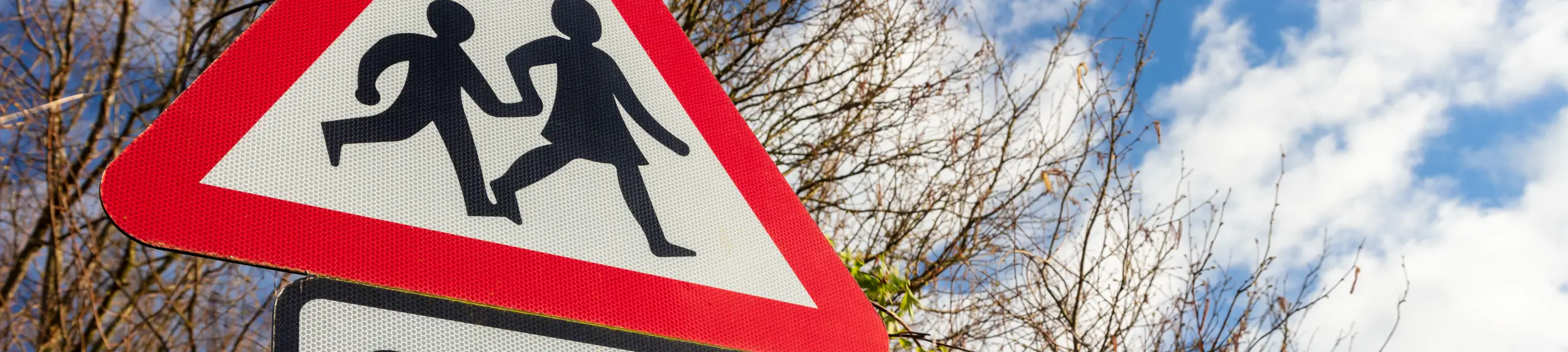 RAAC: An Overview, Challenges, and Solutions